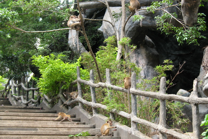 Sri Lanka, Dambulla